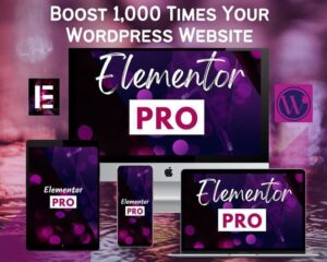 Elementor pro