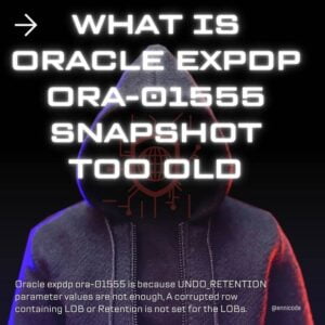 Oracle Expdp Ora-01555