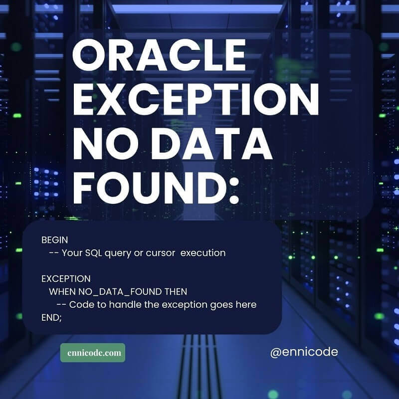 Oracle Exception No Data Found: How to handle ora 01403 - Ennicode